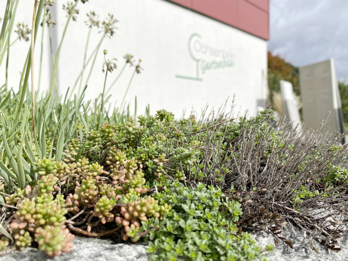 Über-uns_Gartenbau_Ochsenbein